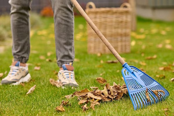 Premium Materials and Tools for Turf
